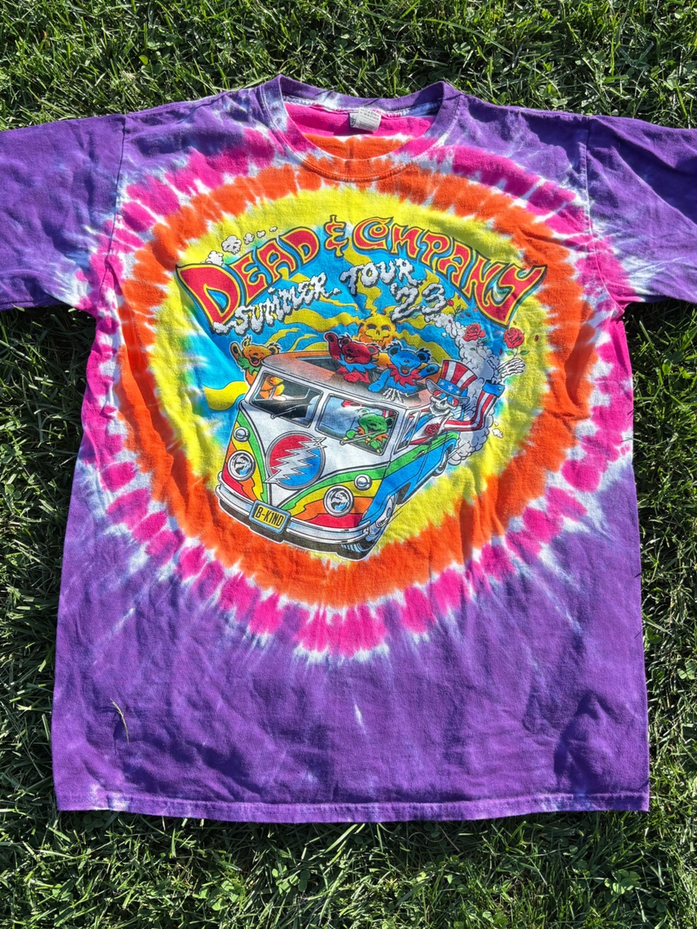 Dead & Company Purple Tie-Dye Van Graphic Wall Art